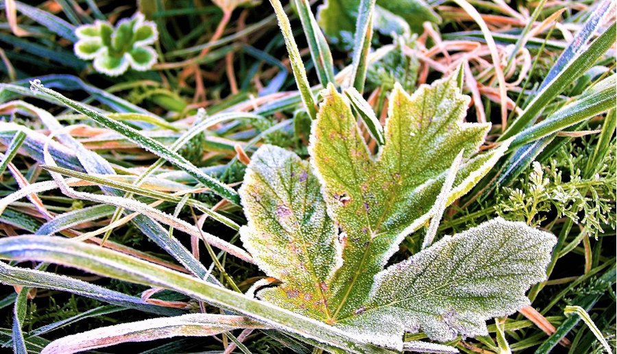 Погода в ближайшие дни - Литва и страны Балтии
