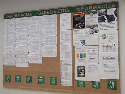 Служба занятости. Что изменилось за последние полгода? (видео) - В Висагинасе