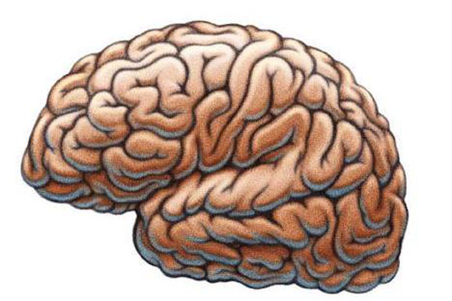 Создан детектор подлости - Наука и здоровье