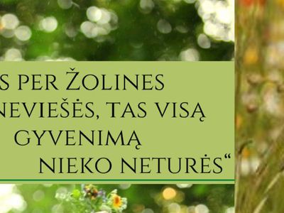 15 августа в Литве отмечают праздник Жолинес - Литва и страны Балтии