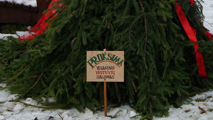 Висагинский свадебный салон "Proksima" - Конкурсы для читателей