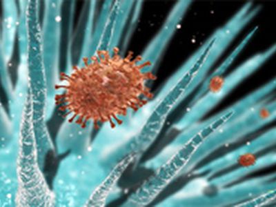 ВОЗ рекомендует полностью изменить состав противогриппозных вакцин - Наука и здоровье