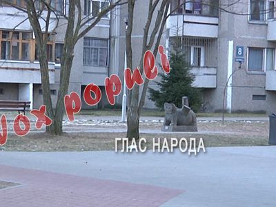 Глас народа: Куда пошли деньги местных сообществ? - В Висагинасе