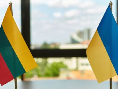 65 проц. опрошенных жителей Литвы поддерживали Украину и помогали украинцам - Литва и страны Балтии