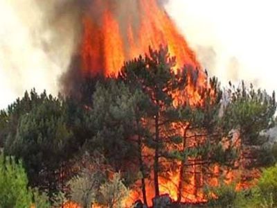 Литва поможет России, хотя и с опозданием - Литва и страны Балтии