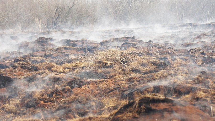 Погода изменилась, но пожары в окрестностях Висагинаса не прекращаются - Происшествия и криминал