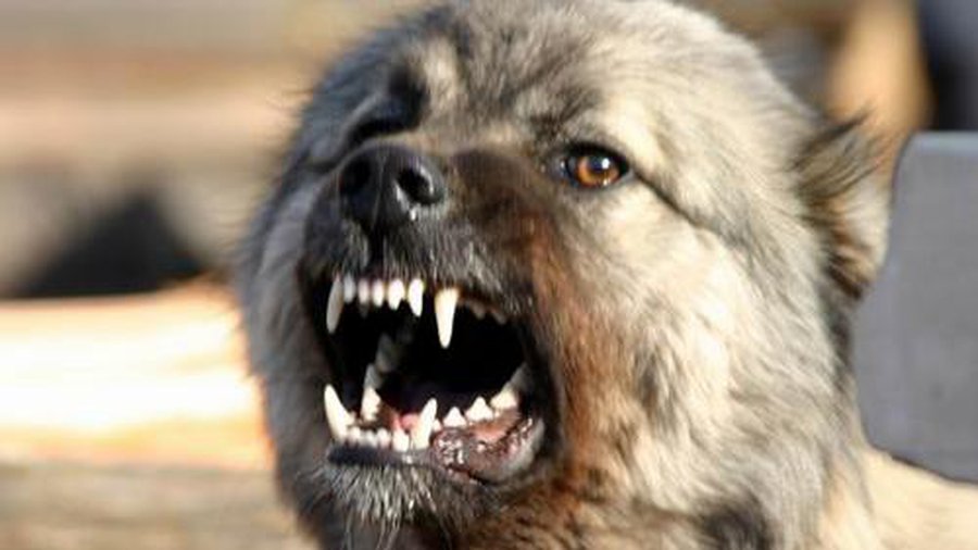 Сводка криминальных происшествий за 22 апреля  - Происшествия и криминал