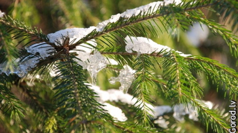 Синоптики идут на попятную: суровой зимы не будет - В Мире