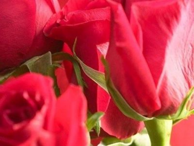 Дарите женщинам цветы - В Висагинасе