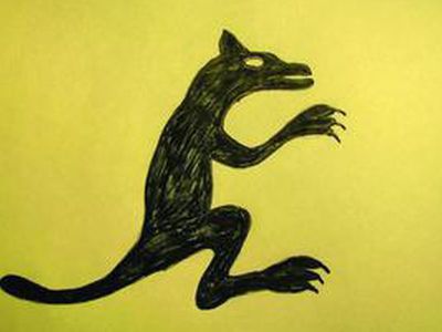 На Закарпатье видели прыгающую по деревьям чупакабру - Хобби, отдых и развлечения