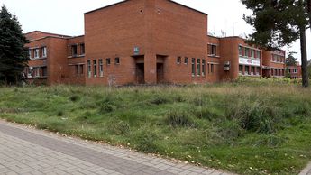 Трава у зданий в центре города: почему не косят и кто должен это делать? (видео)