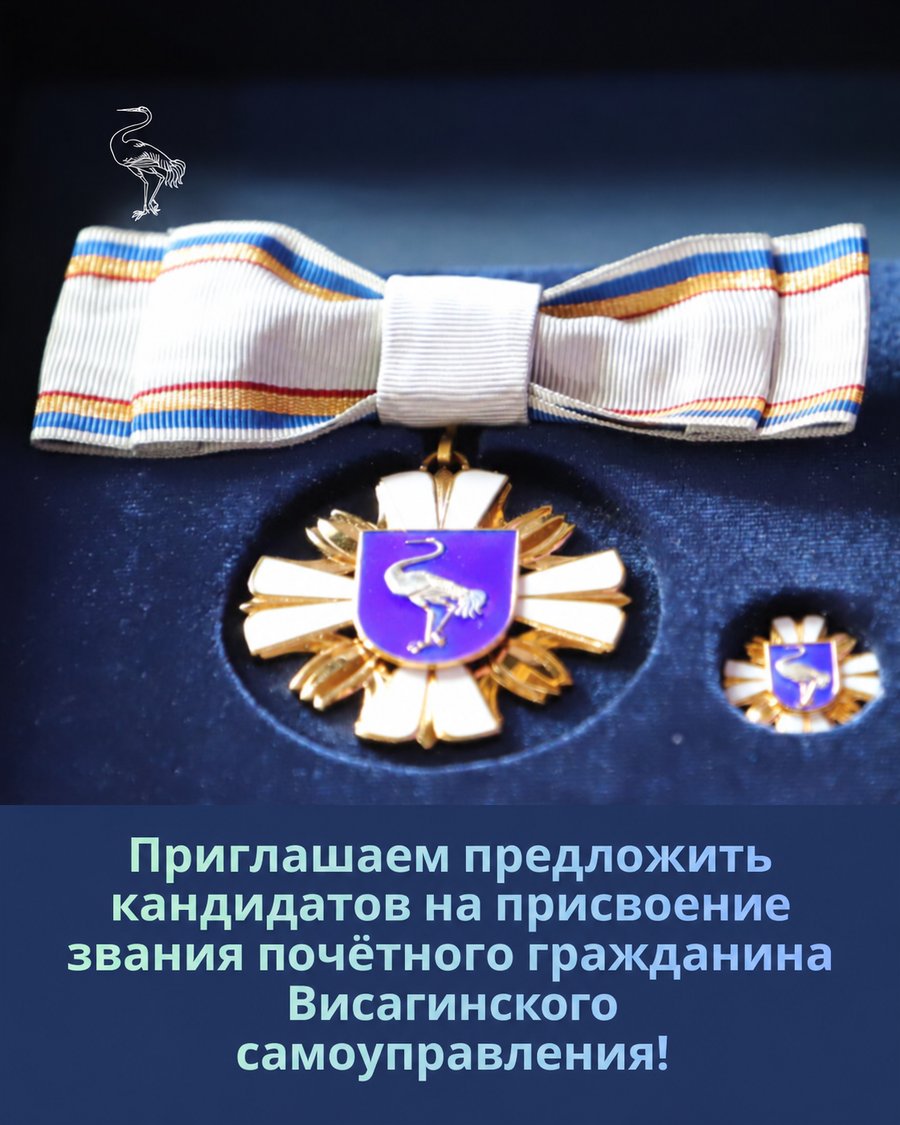 Самоуправление ждёт кандидатов в почётные граждане Висагинаса - Висагинас и висагинцы