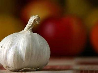 От рака спасет чеснок  - Наука и здоровье