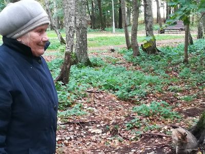 У пенсионерки, оштрафованной за кормление котов, проблемы не закончились (Видео) - В Висагинасе