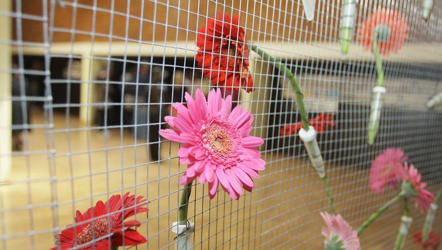 Министр А. Монкявичюс поздравляет абитуриентов по случаю Последнего звонка - В Висагинасе