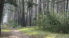 Сентябрь разыгрался не на шутку: воздух прогреется до 30 градусов
