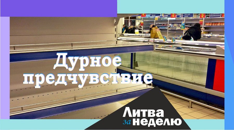 «Медвежья услуга» «Паспорта возможностей»: Литва за неделю (видео) - Литва и страны Балтии