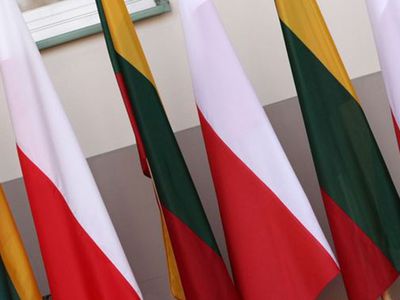 Глава Cейма Польши в Вильнюсе защищает нацменьшинства - Литва и страны Балтии