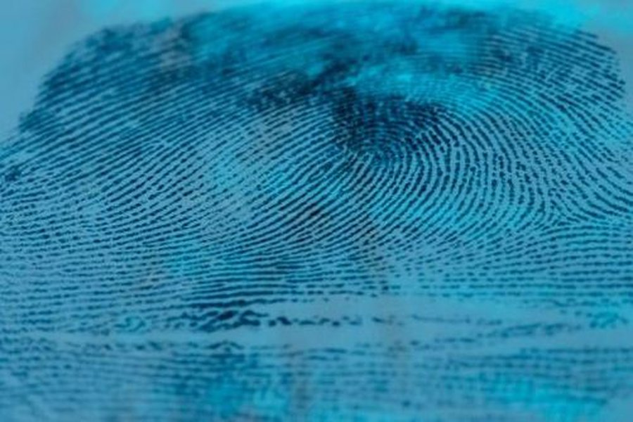 Отпечатки пальцев расскажут о вашем росте и поле - Происшествия и криминал