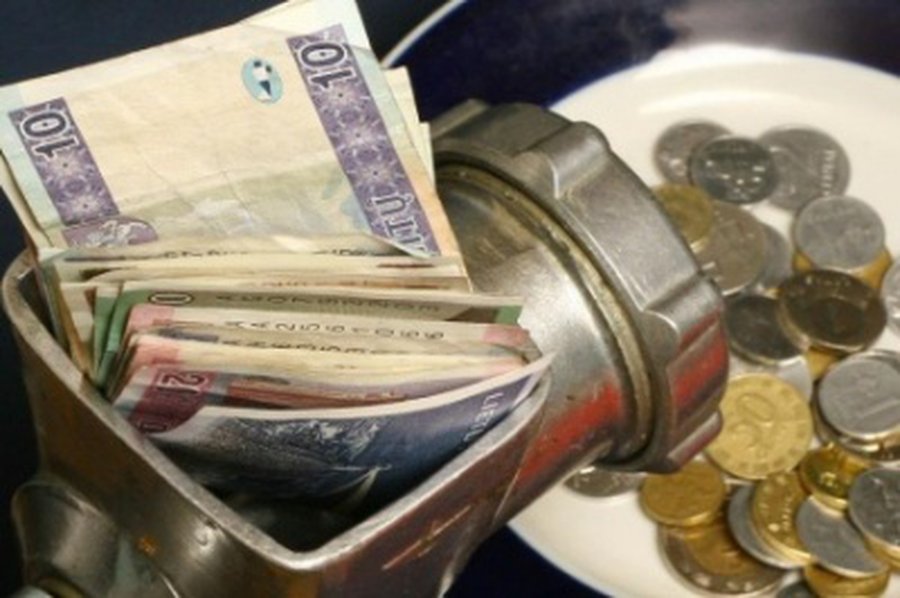 Seimas pritarė 2011 metų biudžetui  - Lietuva ir Baltijos šalys