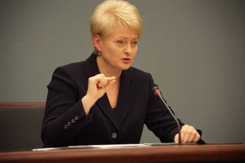 Президент Литвы: Европа продемонстрировала готовность ответственно относиться к финансам

                                                          