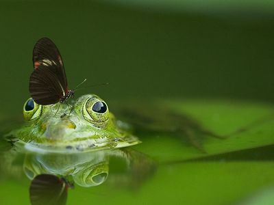 Сейм ввел обязательную регистрацию и плату для тех, кто потребляет определенное количество поверхностной воды - Литва и страны Балтии