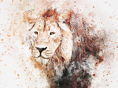 В Таллинском зоопарке у усыпленного льва обнаружили коронавирус - Литва и страны Балтии