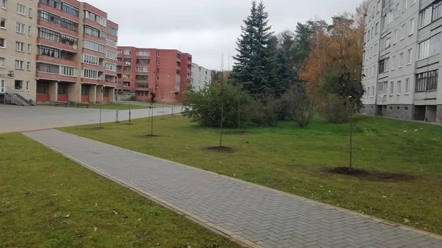 ГлаЗ народа: Началось озеленение улицы Висагино - В Висагинасе