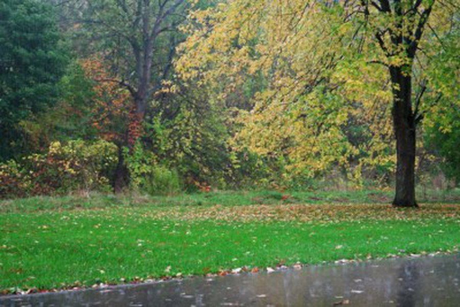 Šios savaitės orai bus permainingi - Lietuva ir Baltijos šalys