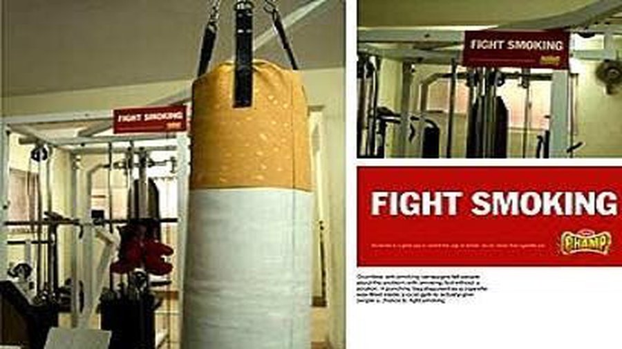 Бросить курить ради долголетия котов - Хобби, отдых и развлечения