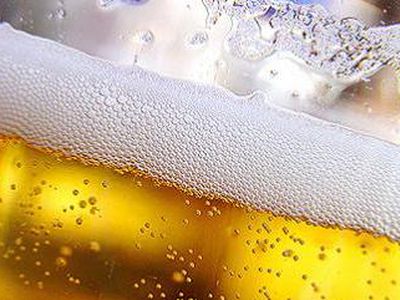 Благодаря пиву можно похудеть - Наука и здоровье