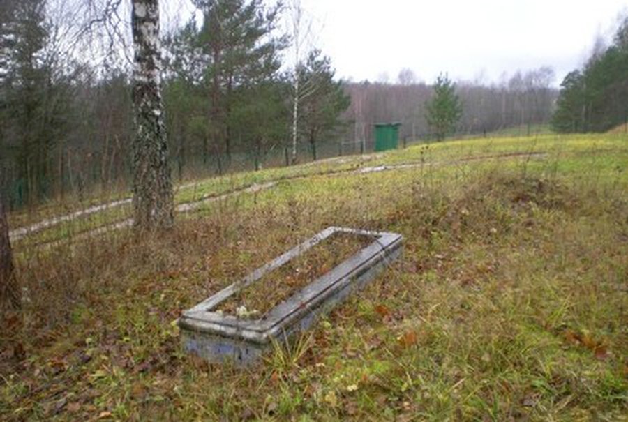 \"Лежит солдат у деревушки дальней...\" - В Висагинасе