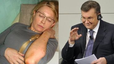 Помилование Тимошенко комиссия Януковича назвала преждевременным
