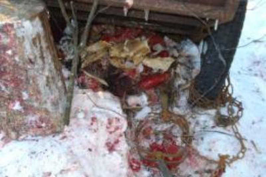 Sustiprinę kontrolę, aplinkosaugininkai išaiškina daugiau gyvūnijos naudojimo pažeidimų - Lietuva ir Baltijos šalys