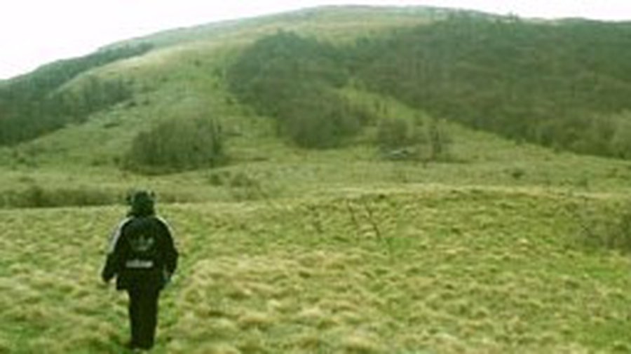 Полезная для здоровья нагрузка – сто шагов в минуту - Наука и здоровье