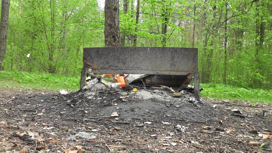 Горячая линия ТТС: Будут ли обновляться места отдыха в лесопарковой зоне? - В Висагинасе