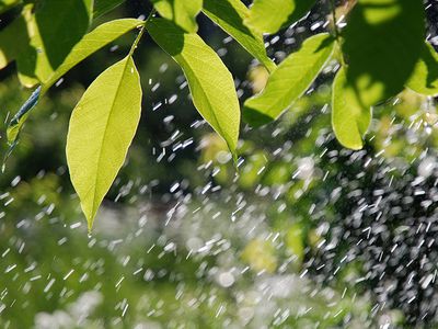 Прогноз погоды в Литве на ближайшие дни - Литва и страны Балтии