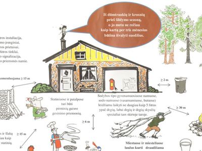 Правила сжигания сухих листьев и веток на дачных участках - В Висагинасе