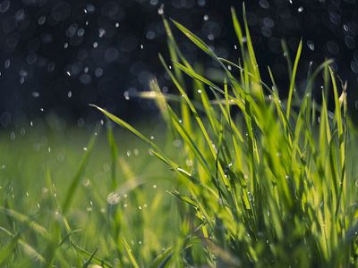 Предупреждение синоптиков: в какой из дней погода будет особенно неприятной - Литва и страны Балтии