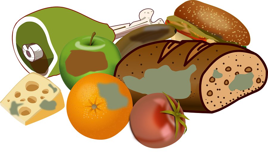 За ненадлежащее обращение с пищевыми и кухонными отходами – солидные штрафы - Литва и страны Балтии