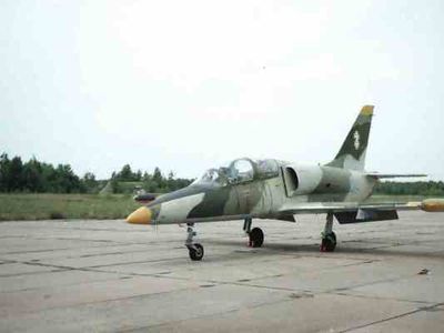 Литовскому депутату надоел шум истребителей НАТО над Шяуляем

 - Литва и страны Балтии