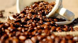 Кофе: польза или вред? Новые выводы исследователей