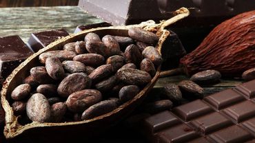 Почему шоколад поднимает настроение (и почему на некоторых он не действует)