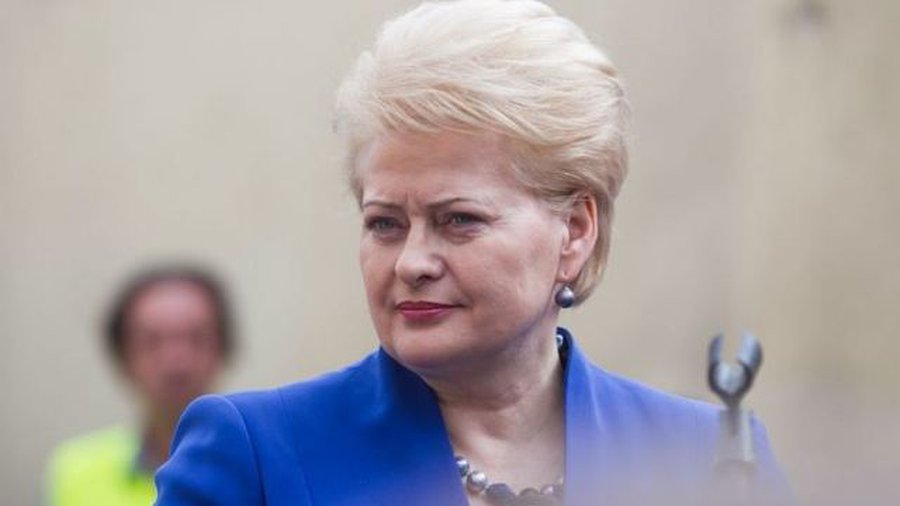 Даля Грибаускайте назвала свои достижения: падение цен за отопление, уволенный полк судей и увеличение помощи ЕС  - Литва и страны Балтии