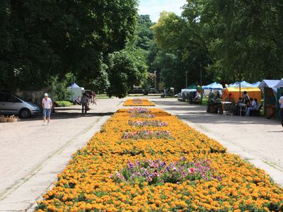 В Вильнюсе не будет Дворца правителей, но появится роскошный парк - Литва и страны Балтии