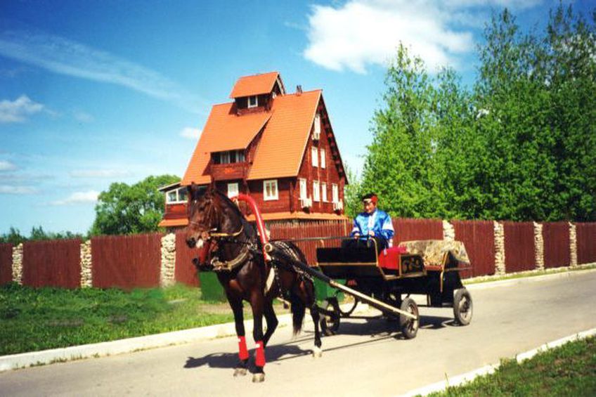 Из-за рекордного роста цен на топливо властям Литвы советуют пересесть на лошадей