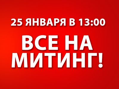 Митинг состоится - В Висагинасе