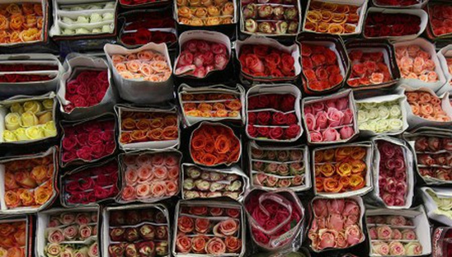 Социологи выяснили, что женщины хотят получить на 8 марта - Хобби, отдых и развлечения