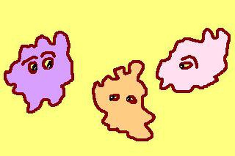 Если бы у микробов были глаза, видели ли бы они друг друга? - Наука и здоровье