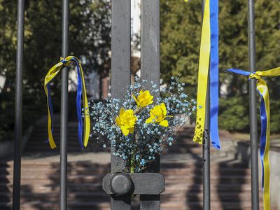 У посольства России началась акция протеста против агрессии в Украине - Литва и страны Балтии